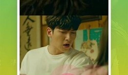 二驴姐姐爆料视频大全下载,揭秘幕后真相，带你领略网络红人魅力